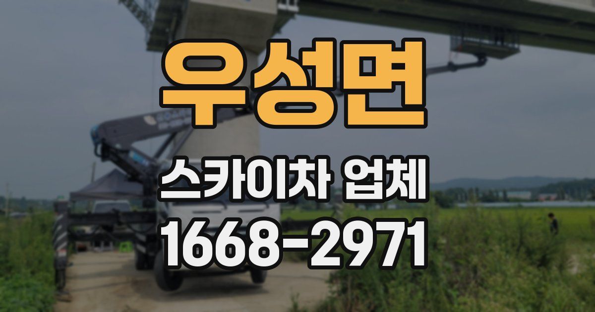 우성면 스카이차 업체