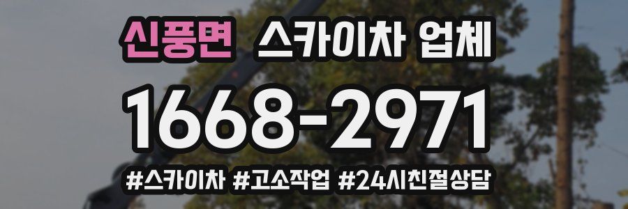 신풍면 스카이차 업체