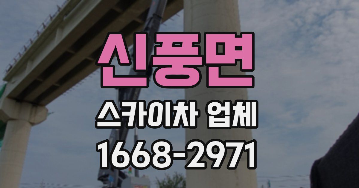 신풍면 스카이차 업체