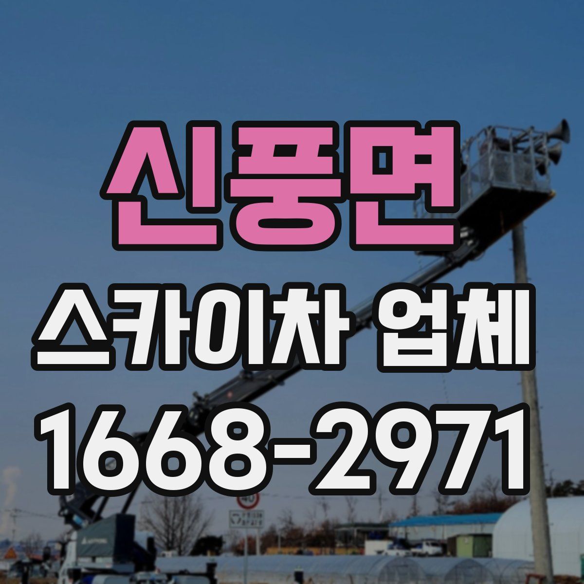 신풍면 스카이차 업체