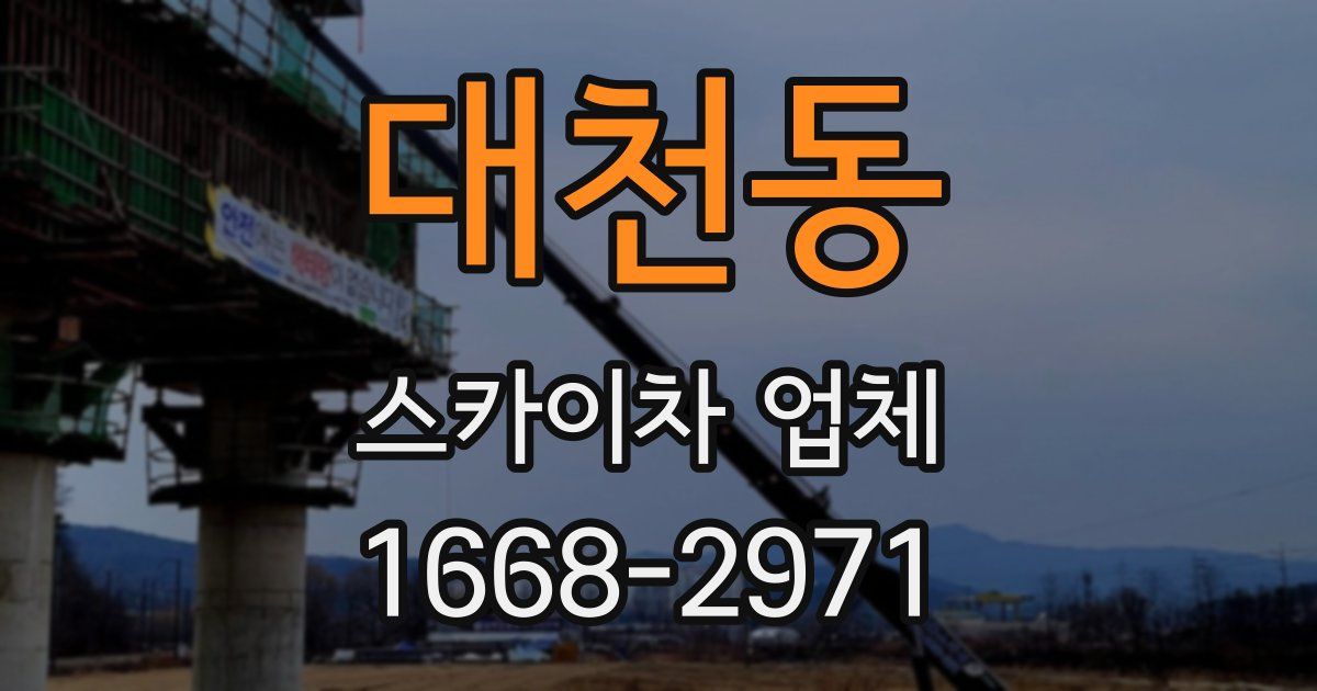 대천동 스카이차 업체