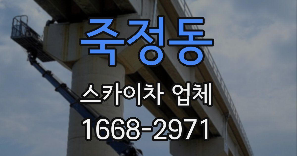 죽정동 스카이차 업체