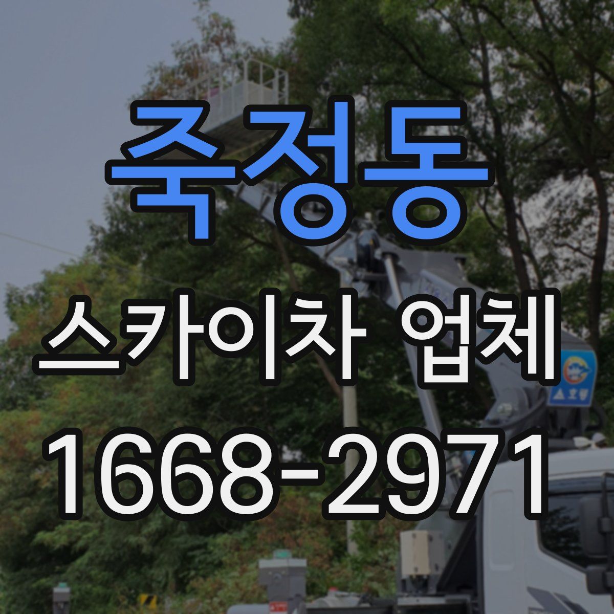 죽정동 스카이차 업체