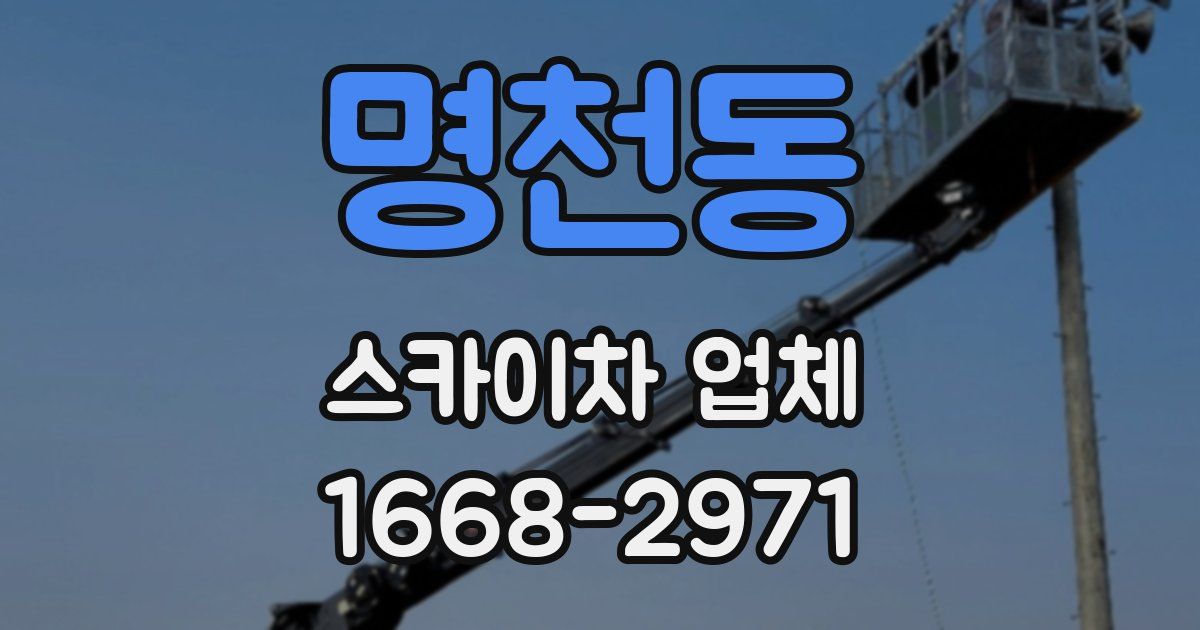 명천동 스카이차 업체