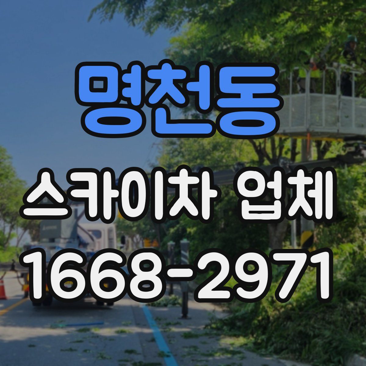 명천동 스카이차 업체