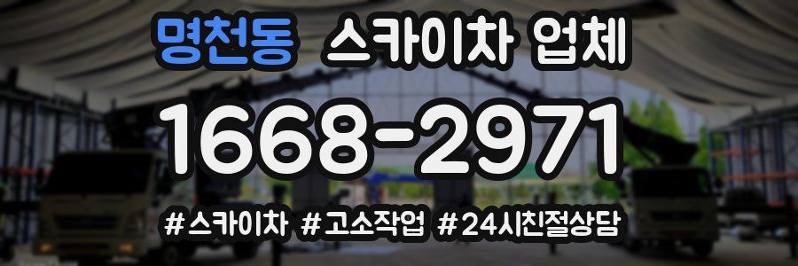명천동 스카이차 업체