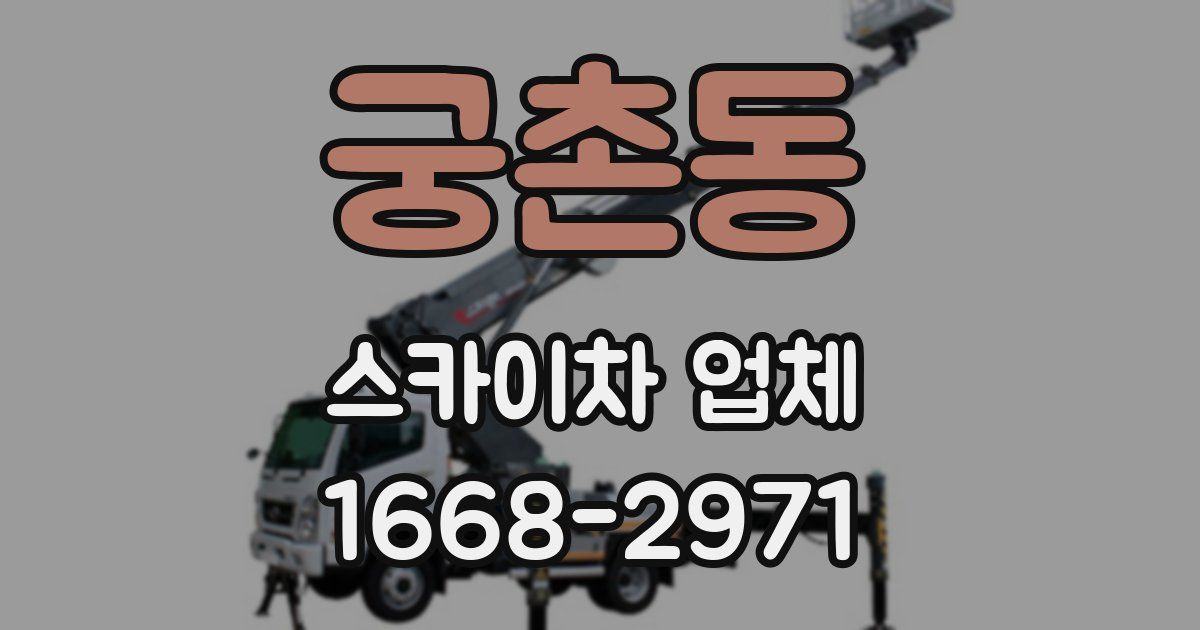 궁촌동 스카이차 업체