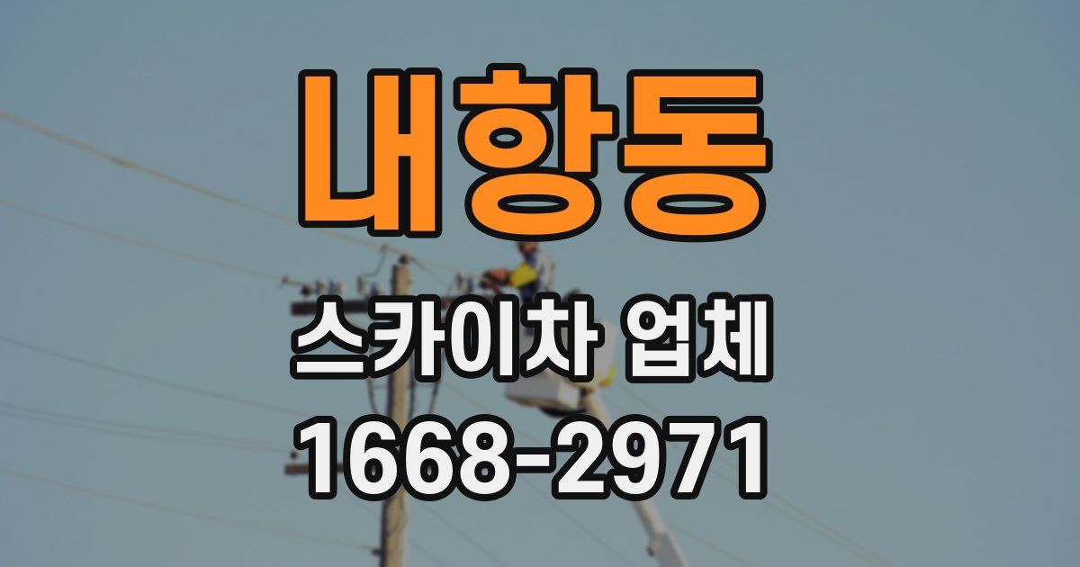 내항동 스카이차 업체