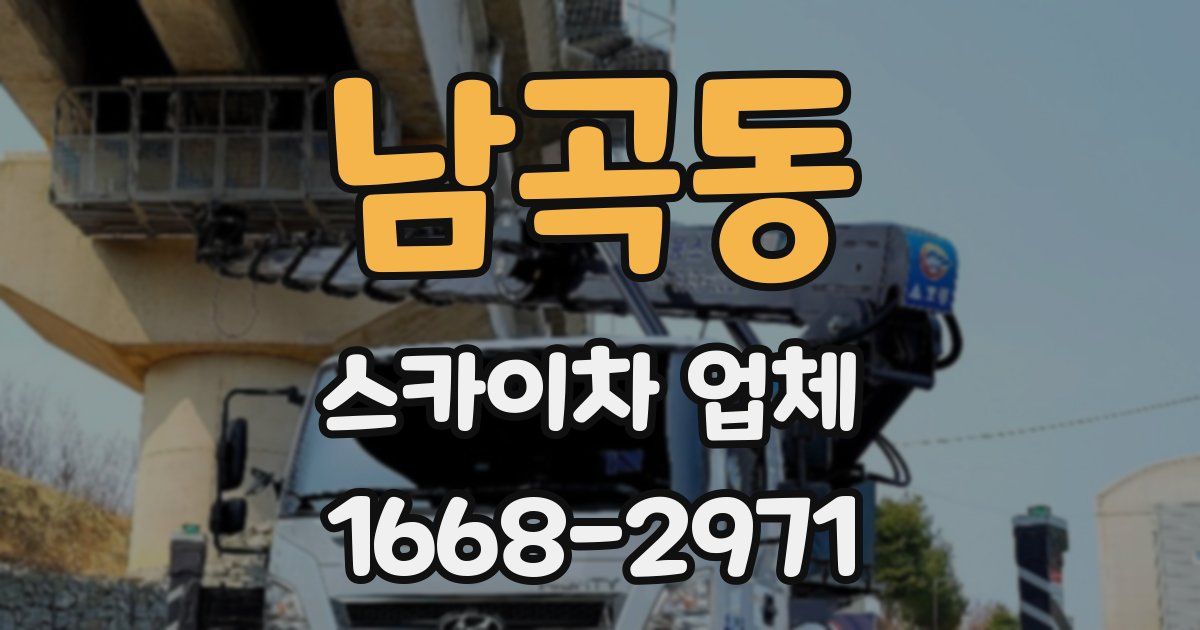 남곡동 스카이차 업체