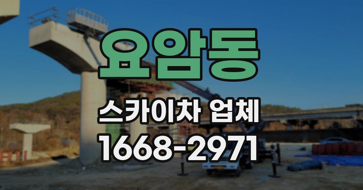 요암동 스카이차 업체