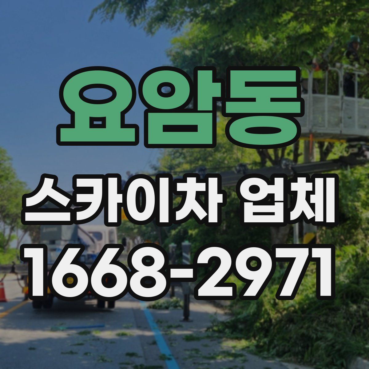 요암동 스카이차 업체
