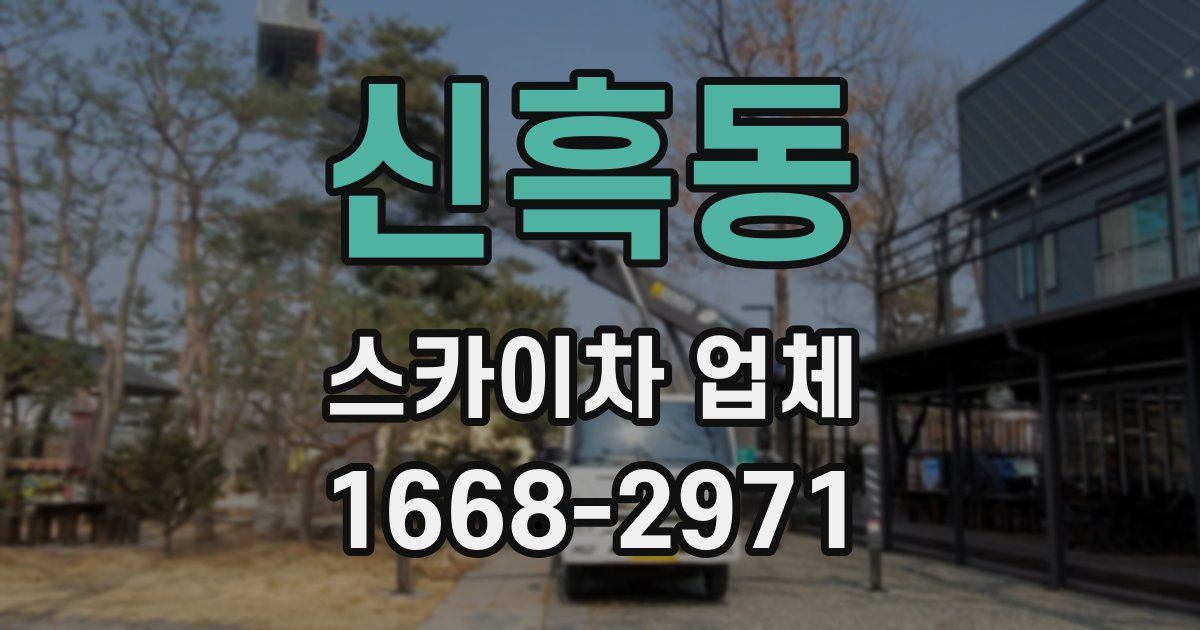 신흑동 스카이차 업체