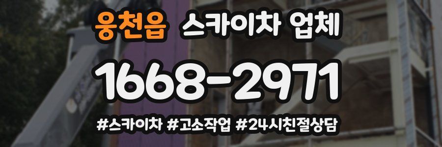 웅천읍 스카이차 업체