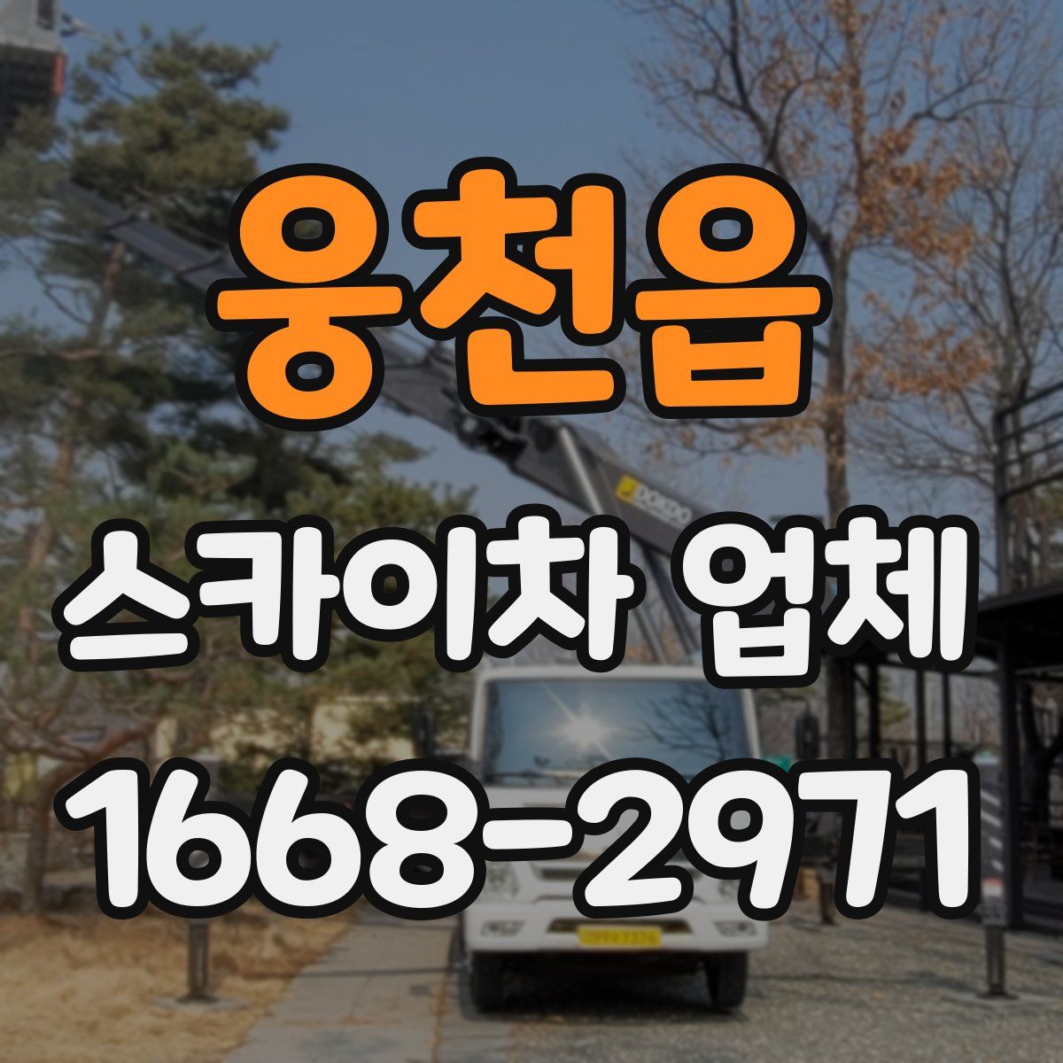 웅천읍 스카이차 업체