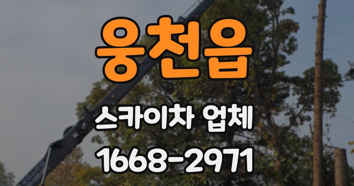 웅천읍 스카이차 업체