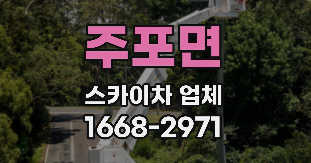 주포면 스카이차 업체