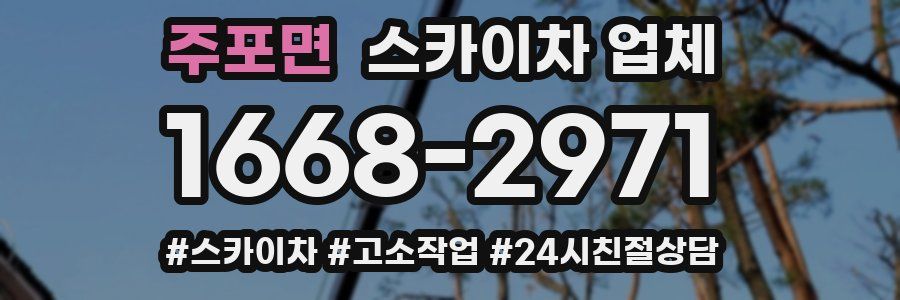주포면 스카이차 업체