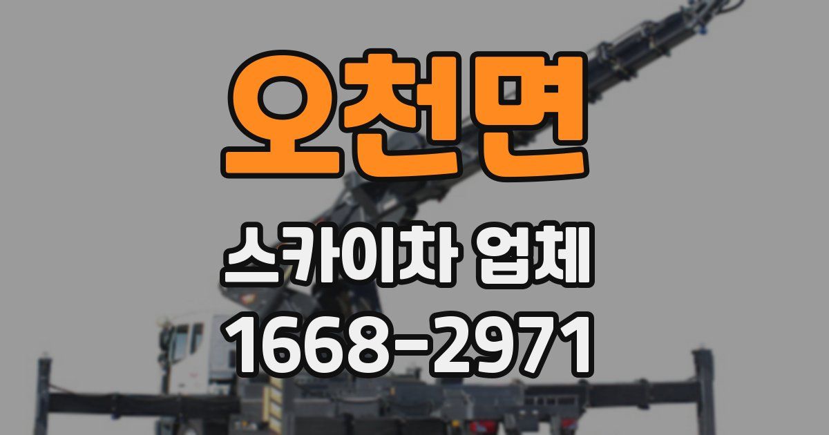 오천면 스카이차 업체