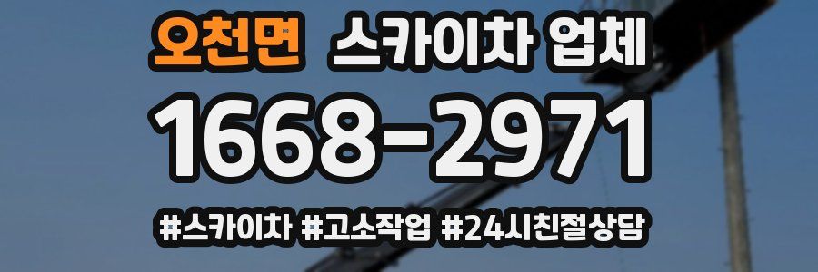 오천면 스카이차 업체