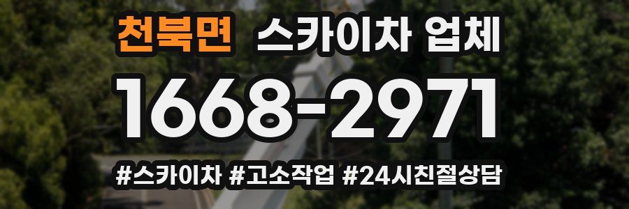 천북면 스카이차 업체