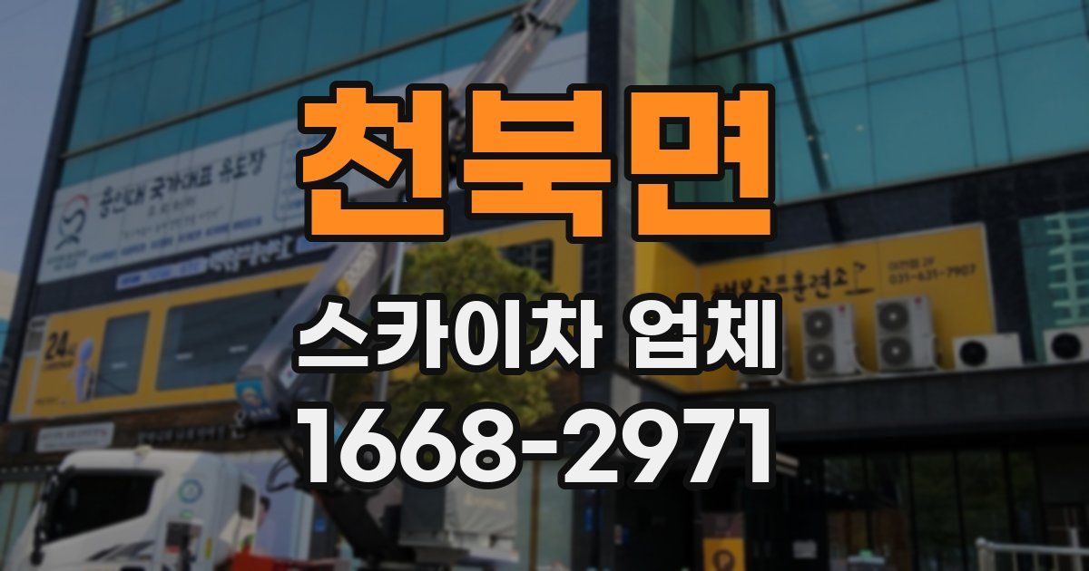 천북면 스카이차 업체