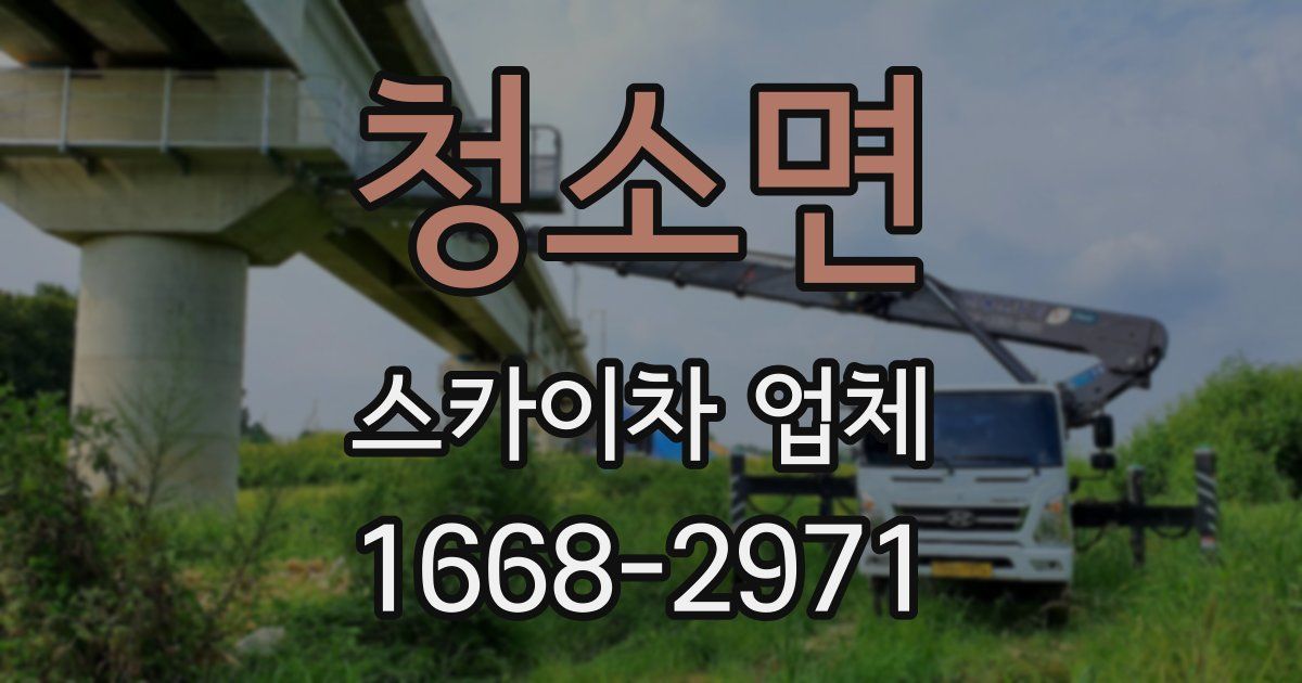 청소면 스카이차 업체