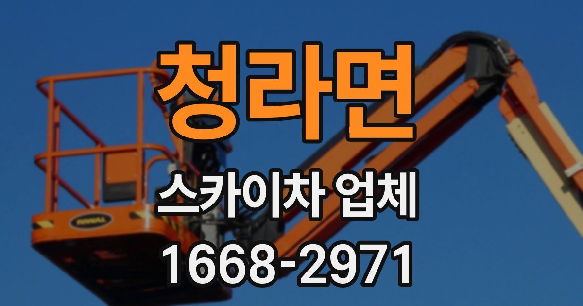 청라면 스카이차 업체
