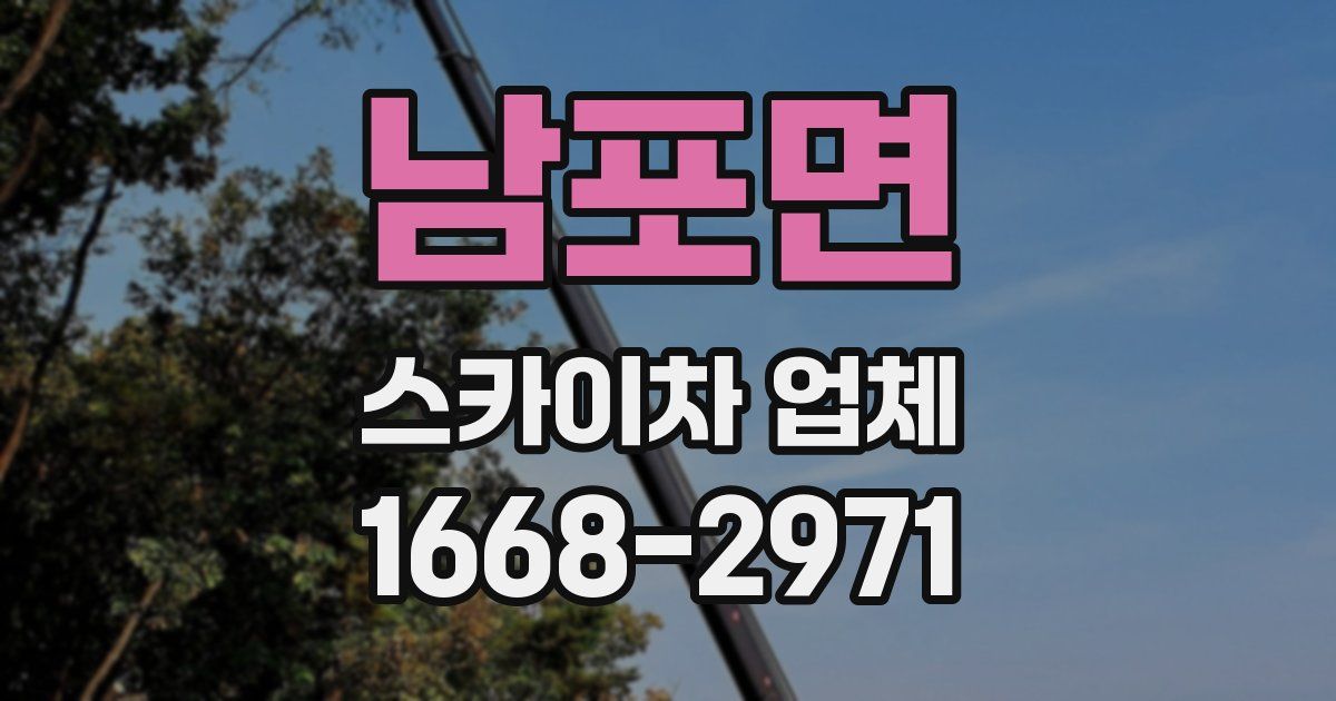 남포면 스카이차 업체