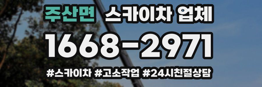 주산면 스카이차 업체