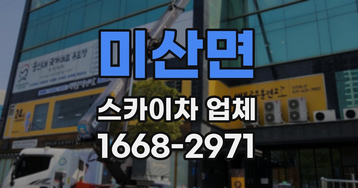 미산면 스카이차 업체