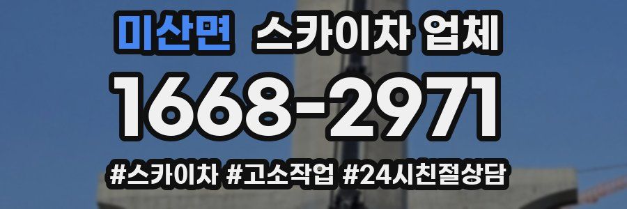 미산면 스카이차 업체