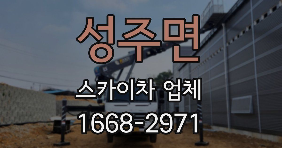 성주면 스카이차 업체
