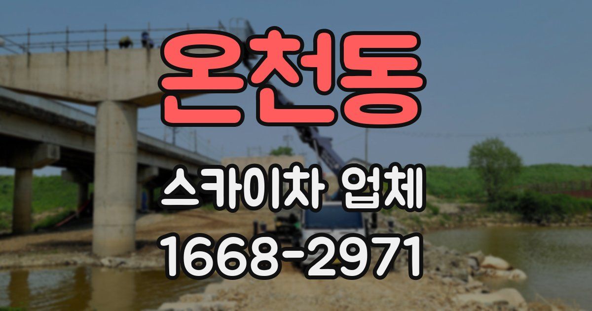 온천동 스카이차 업체