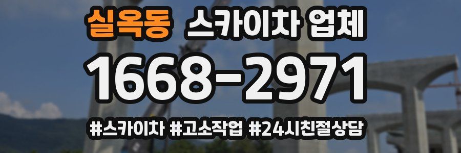 실옥동 스카이차 업체