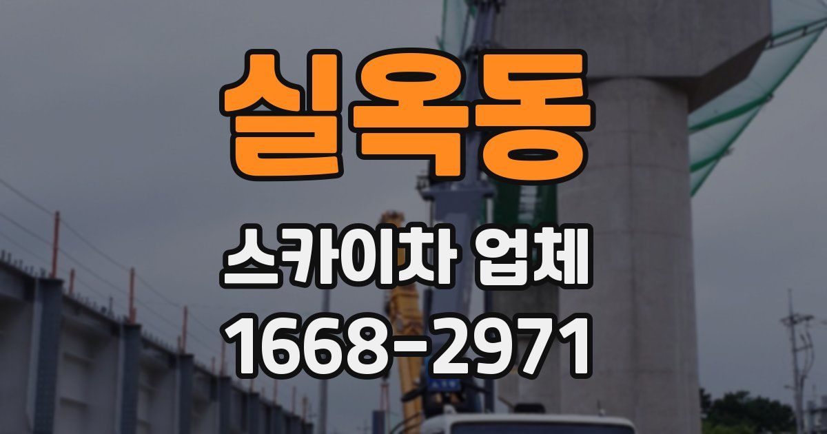 실옥동 스카이차 업체