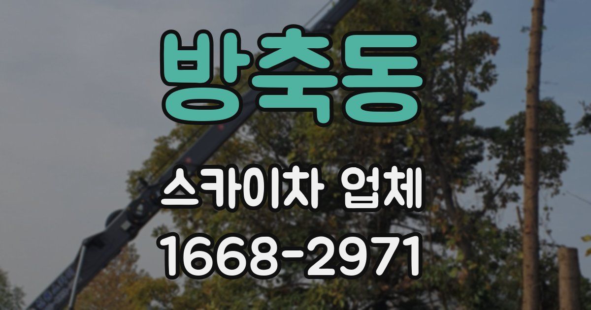 방축동 스카이차 업체