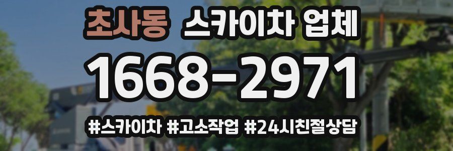 초사동 스카이차 업체