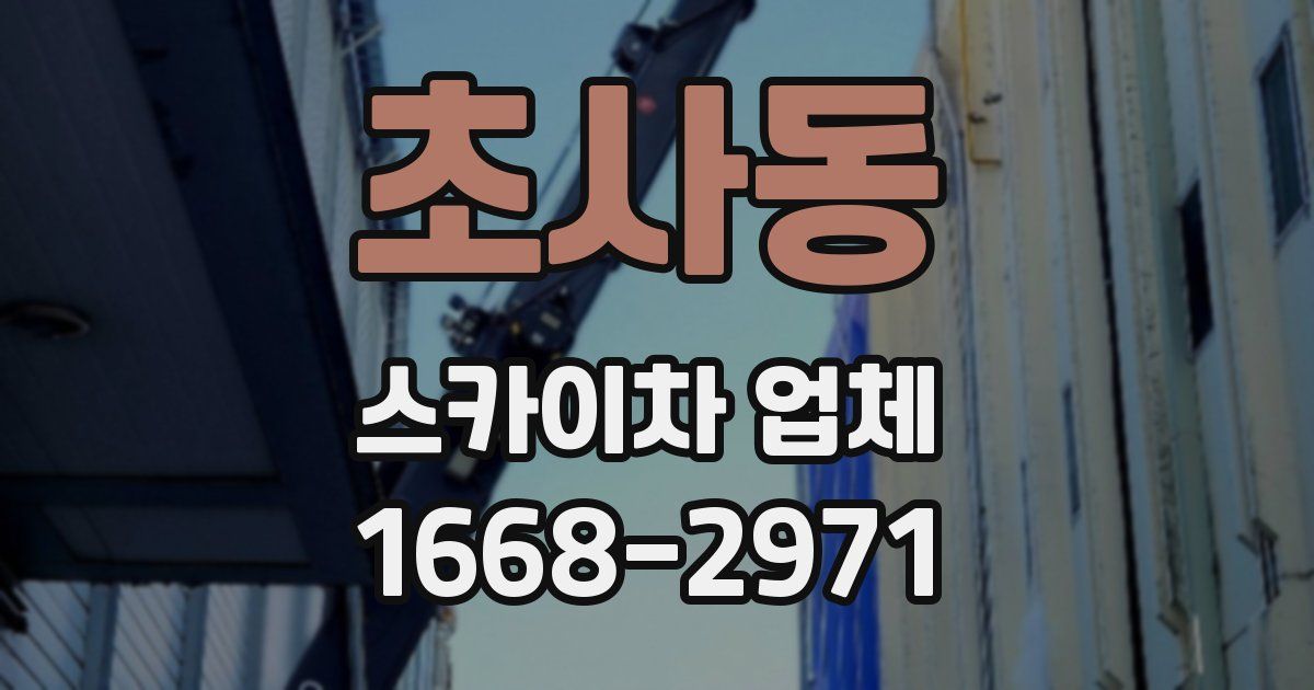 초사동 스카이차 업체