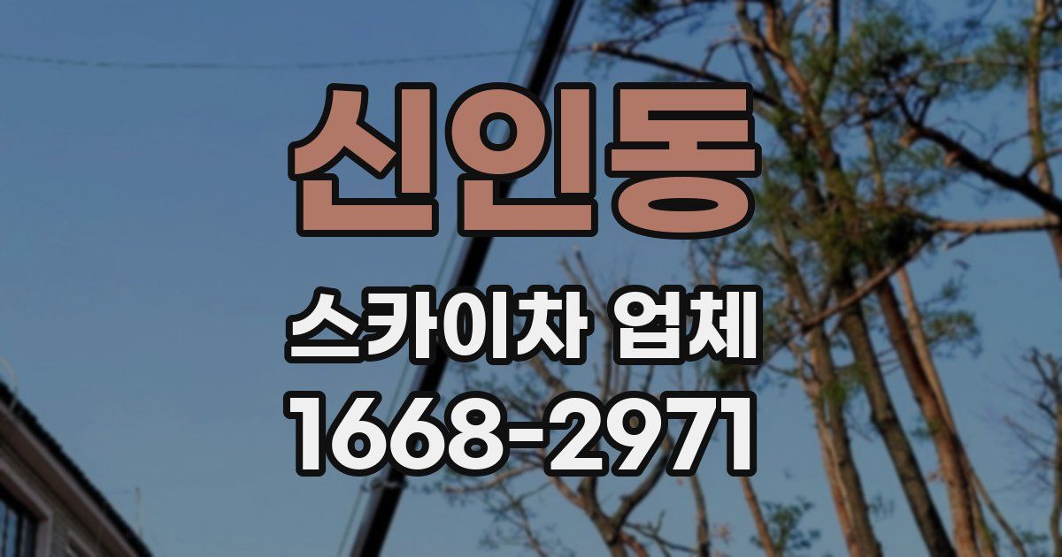 신인동 스카이차 업체