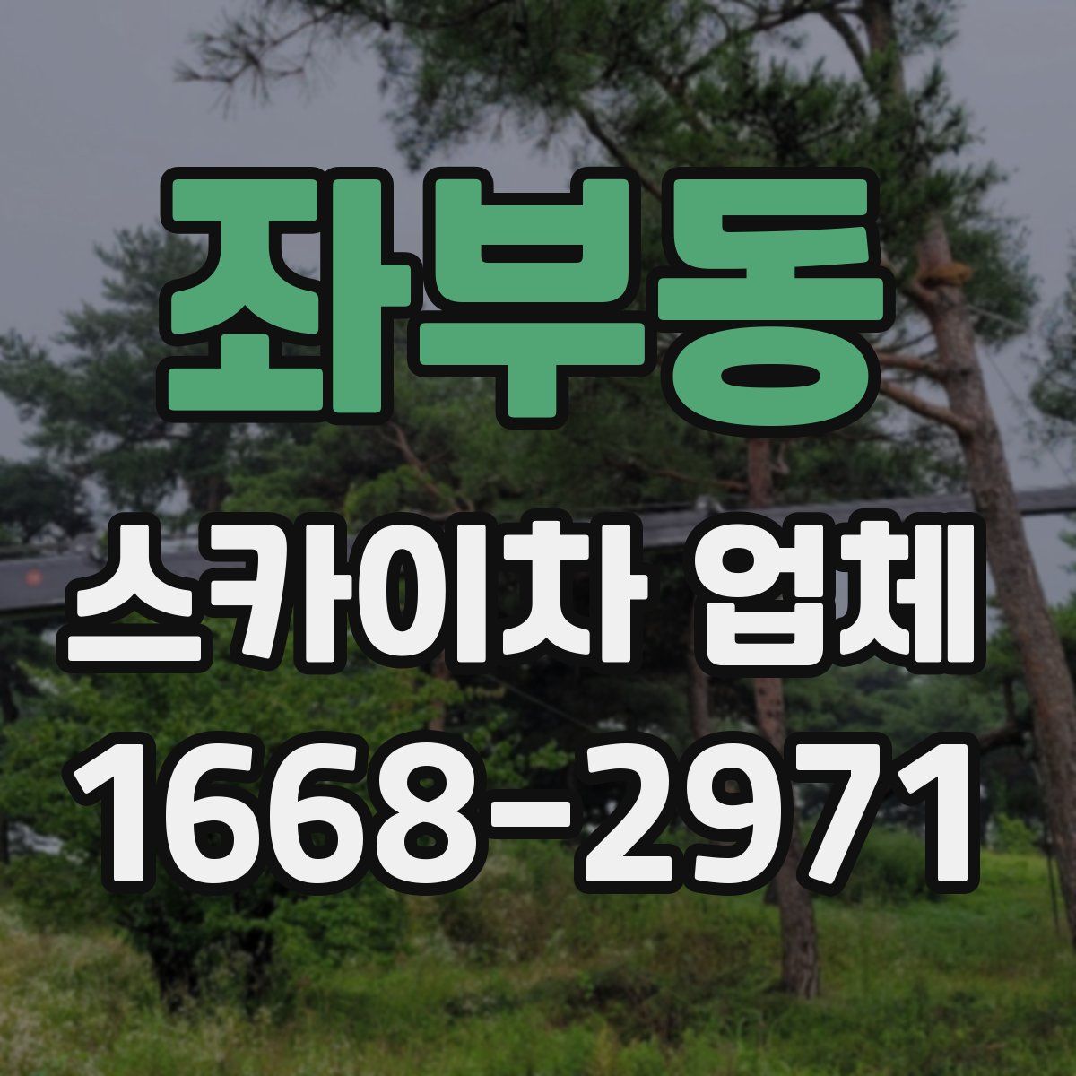 좌부동 스카이차 업체