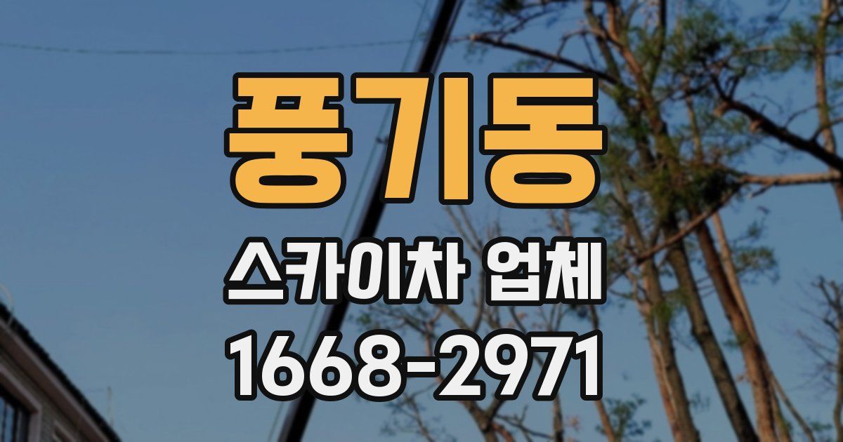 풍기동 스카이차 업체