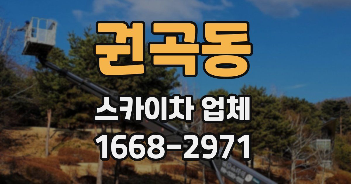 권곡동 스카이차 업체