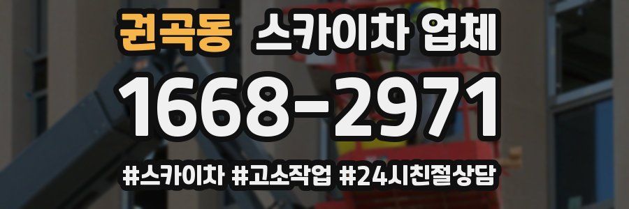권곡동 스카이차 업체