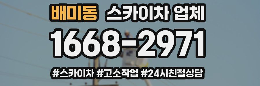 배미동 스카이차 업체