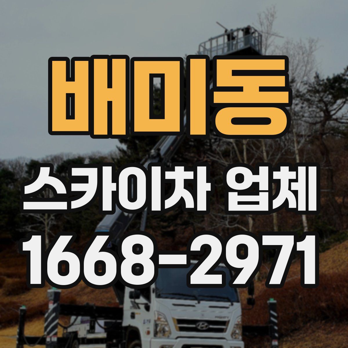 배미동 스카이차 업체