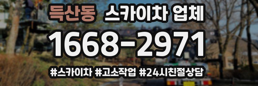 득산동 스카이차 업체