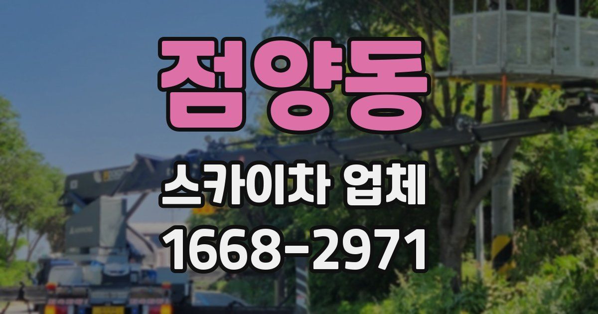 점양동 스카이차 업체