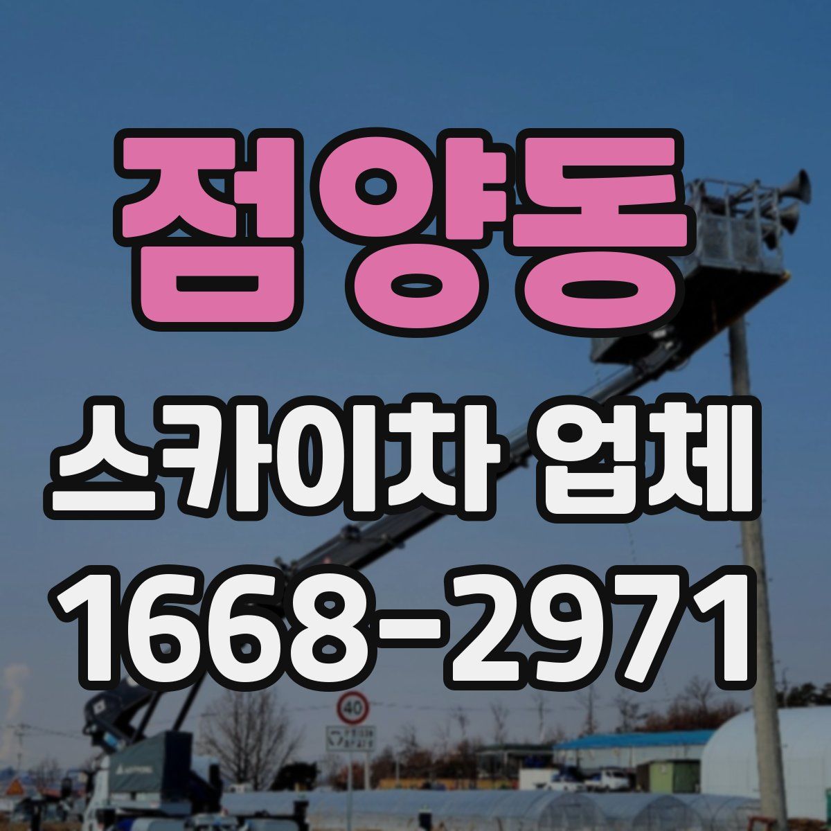 점양동 스카이차 업체