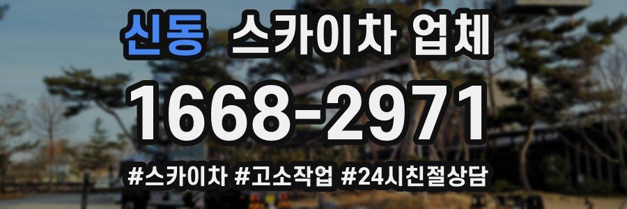 신동 스카이차 업체