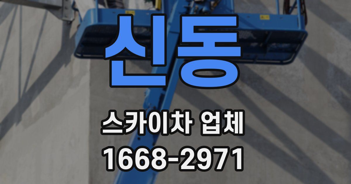 신동 스카이차 업체